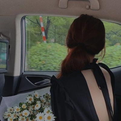 杜鹃的婚约