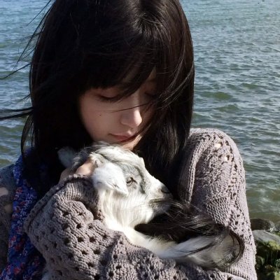绑架猫王